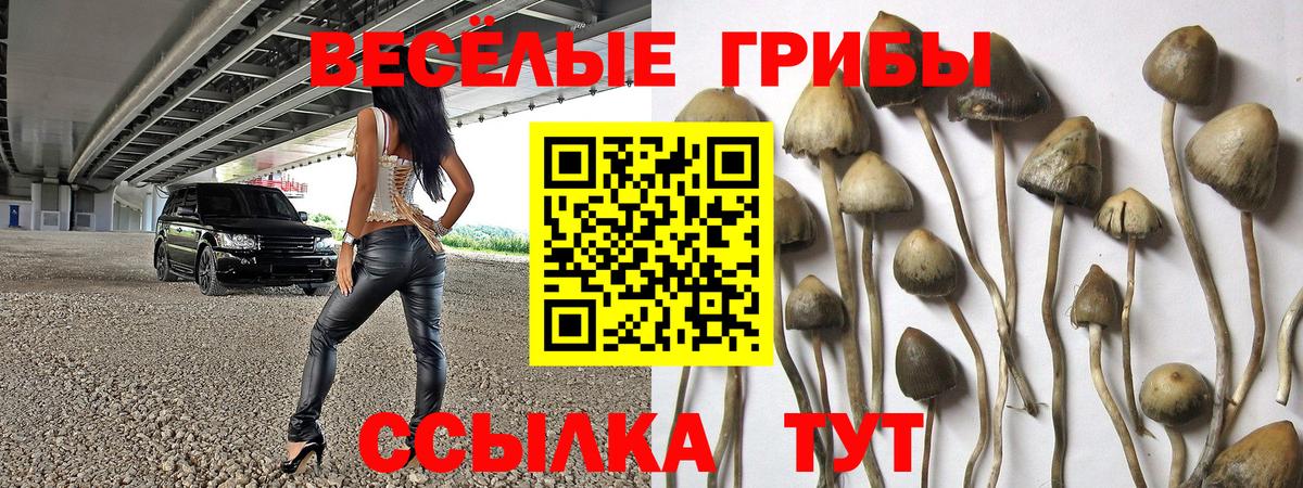 Красноярск  Псилоцибиновые грибы Psilocybe  Галлюциногенные грибы прущие грибы  Вход с VPN 