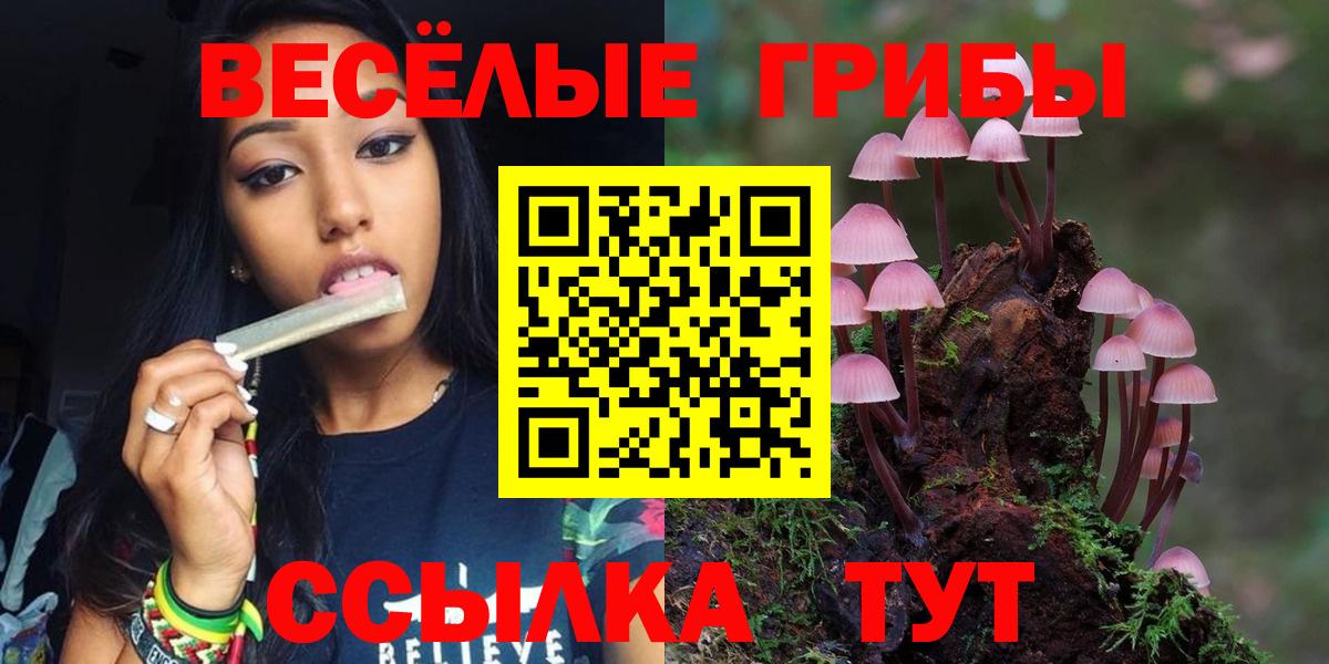 Псилоцибиновые грибы Cubensis Красноярск